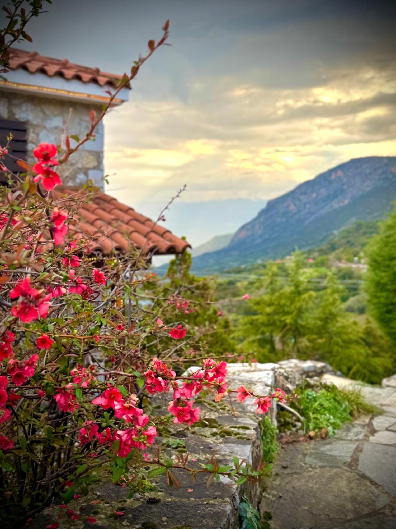 Rock Dandy Deluxe Chalet In Arachova - Delphi, Sauna, Prv Parking, Amazing View Esterno foto